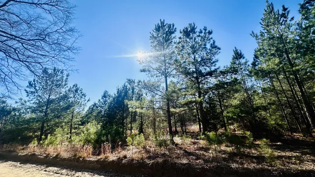 $65,000 | 0 Loon Road, Barnwell, SC 29812