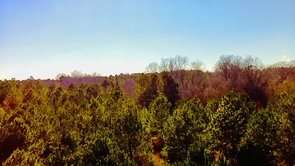 $60,000 | 0 Loon Road, Barnwell, SC 29812