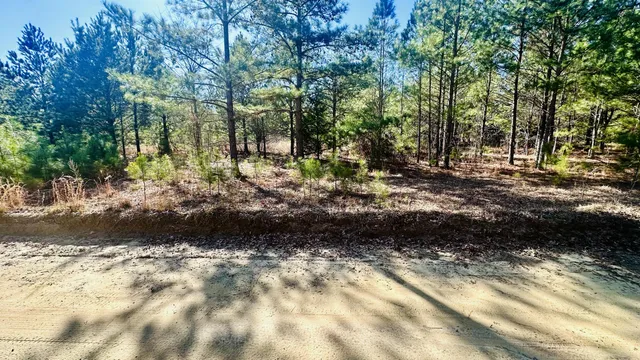 $65,000 | 0 Loon Road, Barnwell, SC 29812