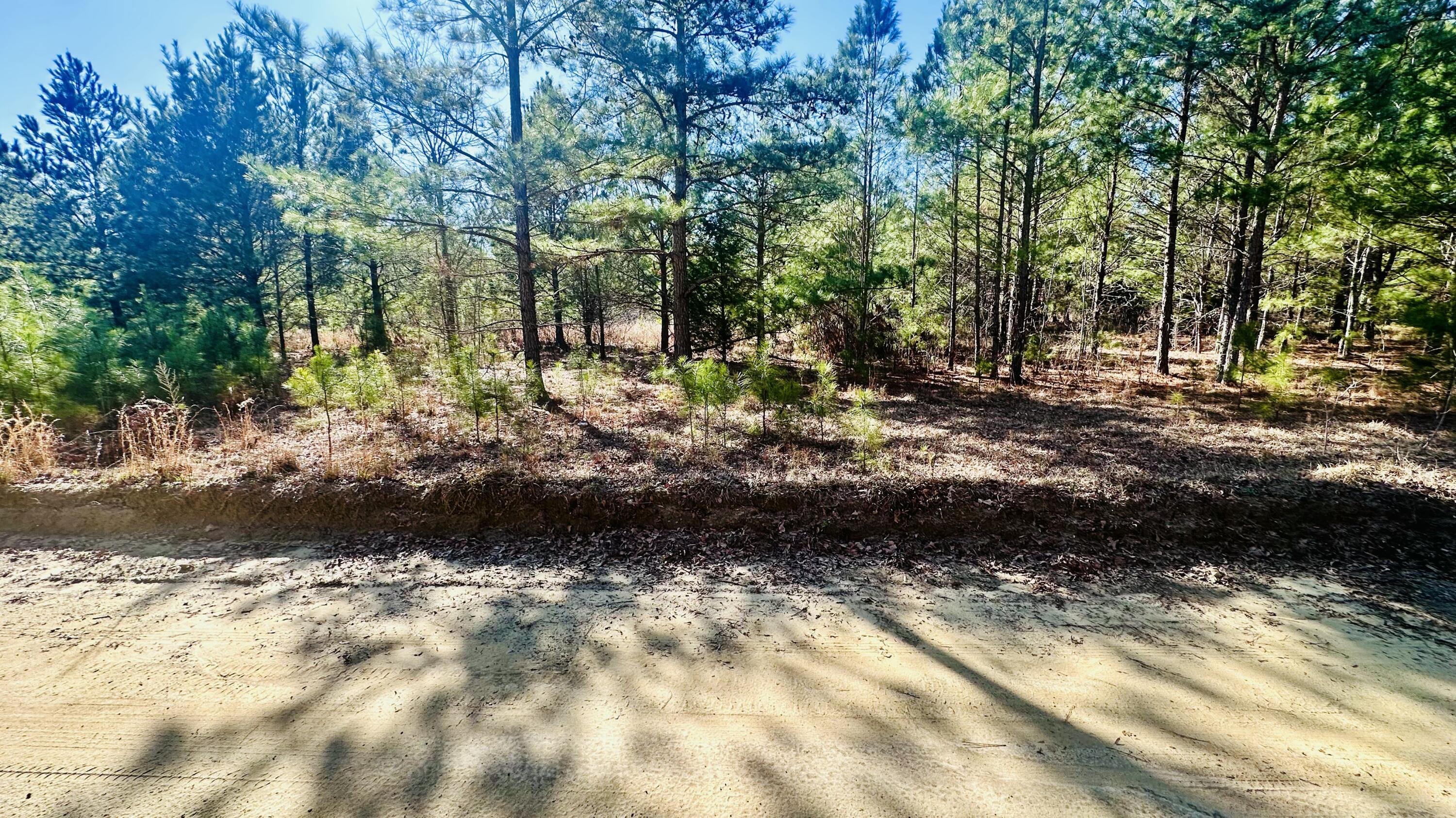 0 Loon Road Barnwell, SC 29812 - Photo 7 of 8 Barnwell LAnd Listing photosIMG_7527