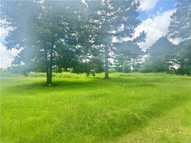 72045 South Lewiston Road Kentwood, LA 70444 - Photo 2 of 17