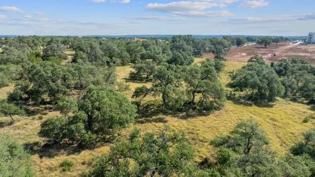 an aerial view of residential houses with outdoor space and trees