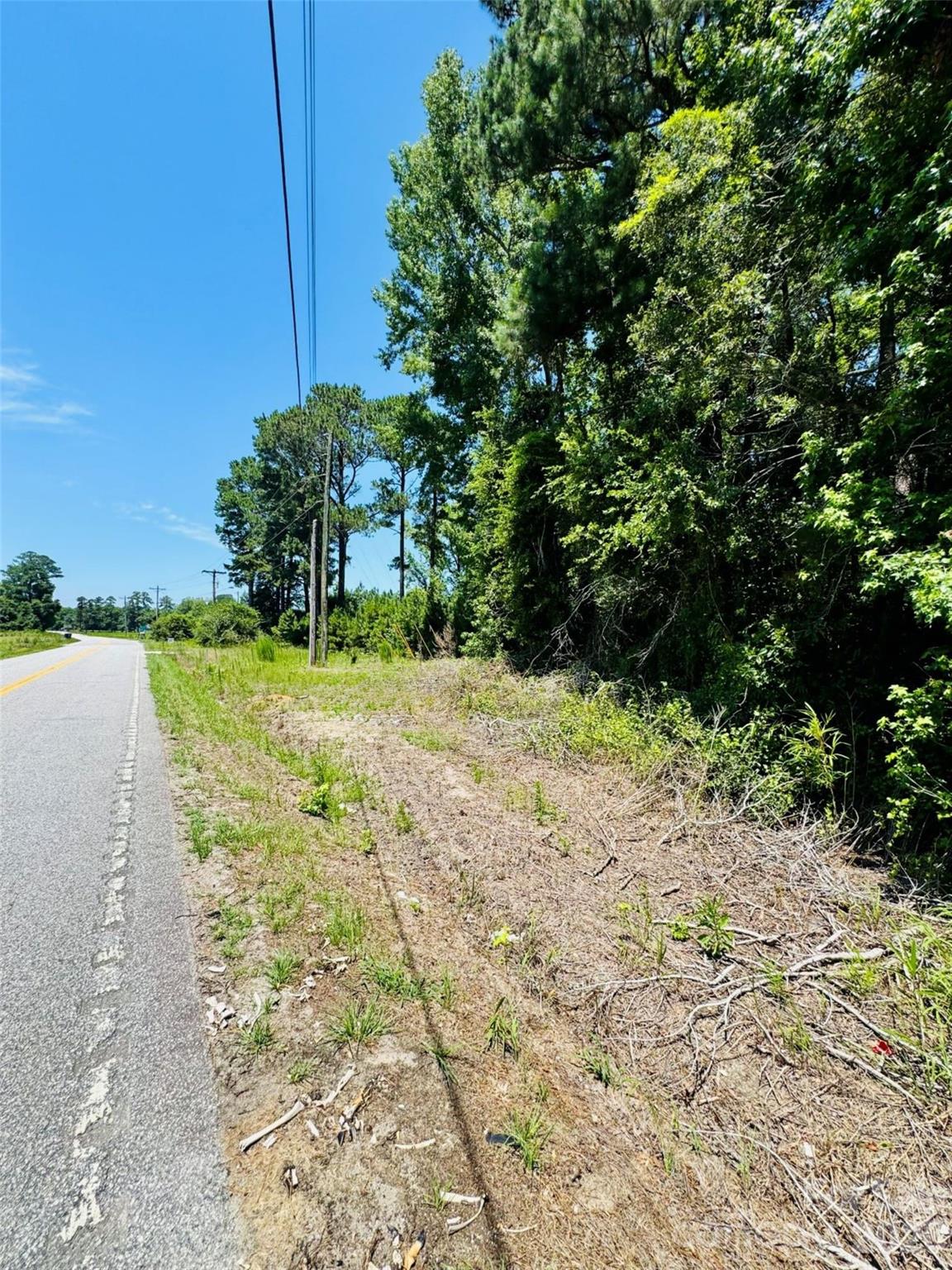 5326 Judson Road Clio, SC 29525 - Photo 28 of 29