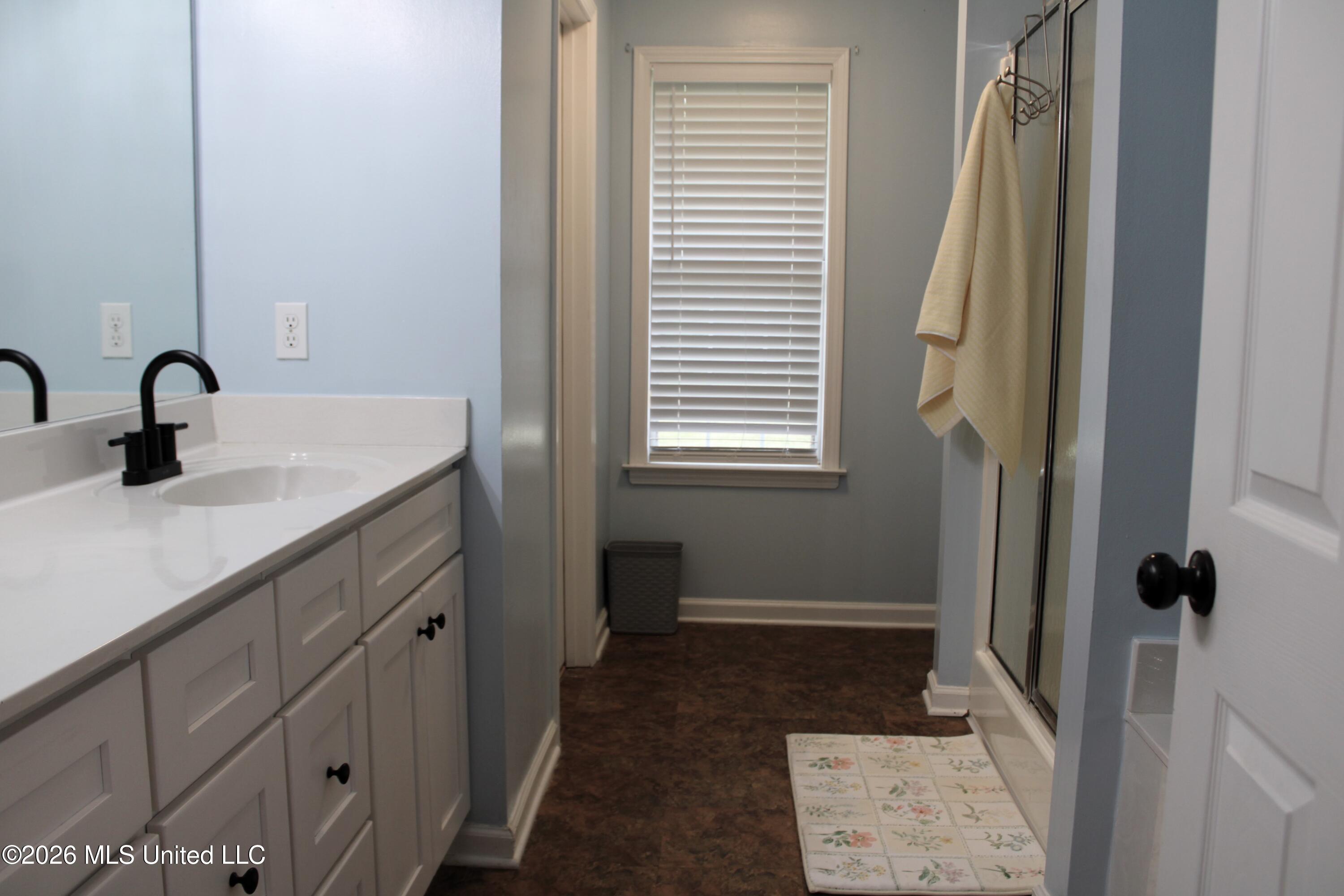 5676 Southbend Lane Olive Branch, MS 38654 - Photo 21 of 42 Primary Bath