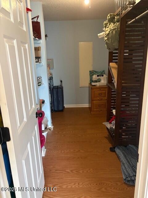 5676 Southbend Lane Olive Branch, MS 38654 - Photo 23 of 42 Primary Closet
