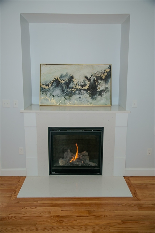 99 West Crystal Brook Drive Springfield, MA 01118 - Photo 10 of 40 a living room with a fireplace