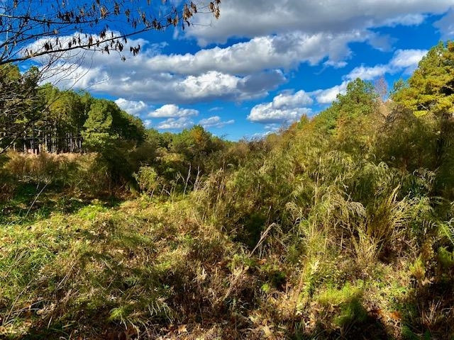 Club Pond Road Henderson, NC 27537 - Photo 5 of 6 Timber