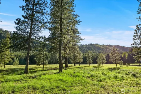 a view of backyard with green space