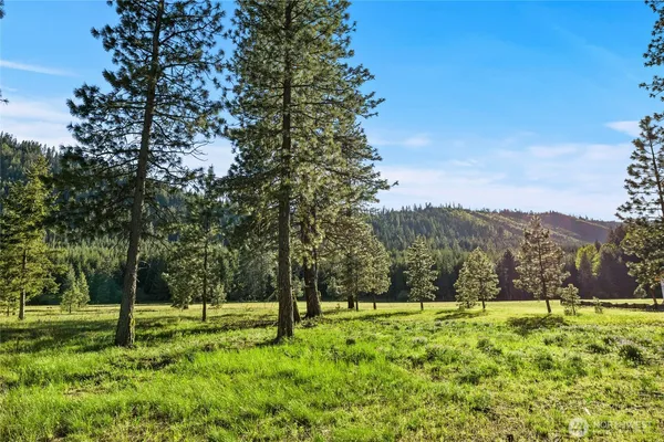 a view of backyard with green space