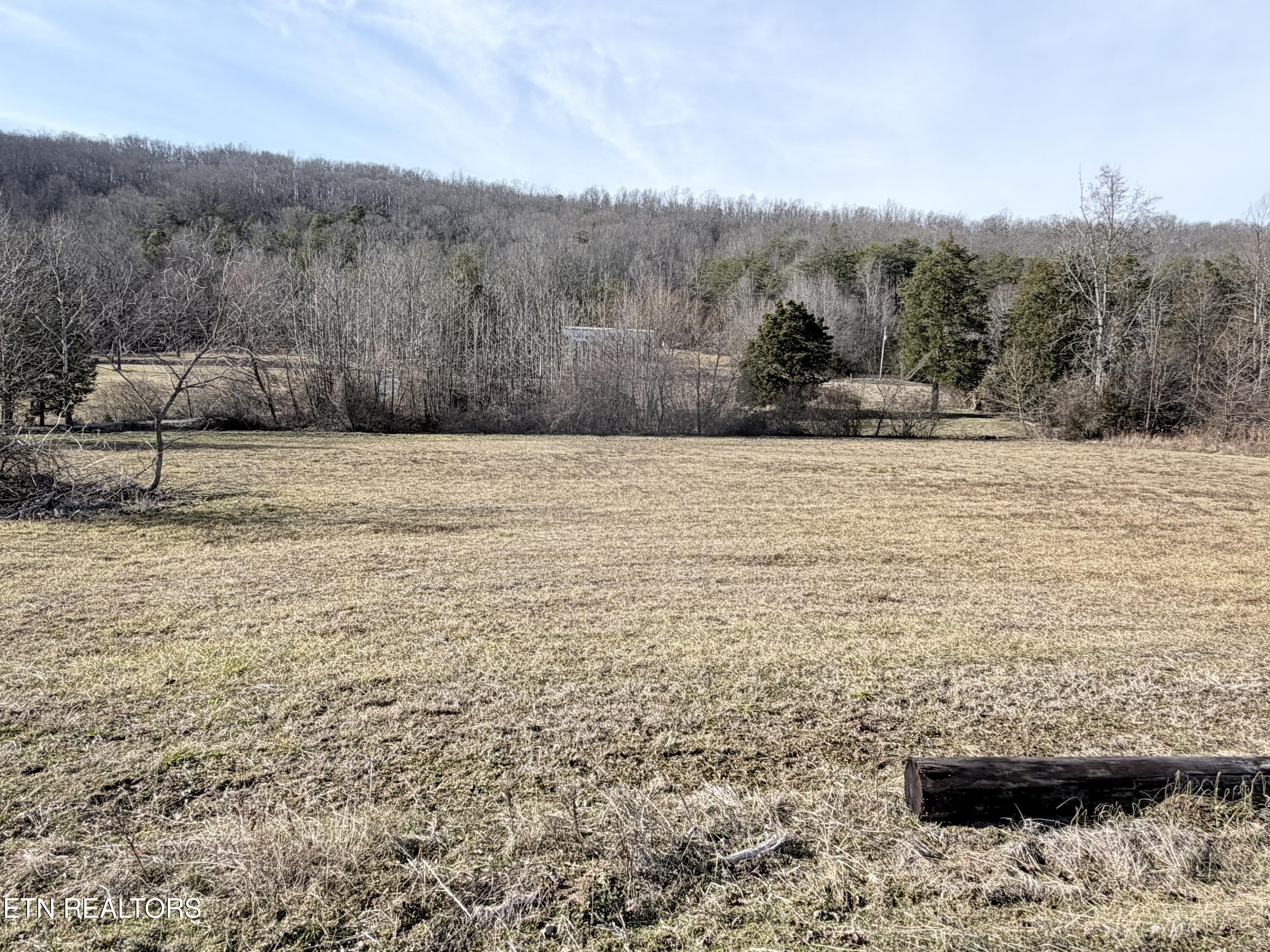 189 County Road Decatur, TN 37322 - Photo 12 of 28 IMG_0311