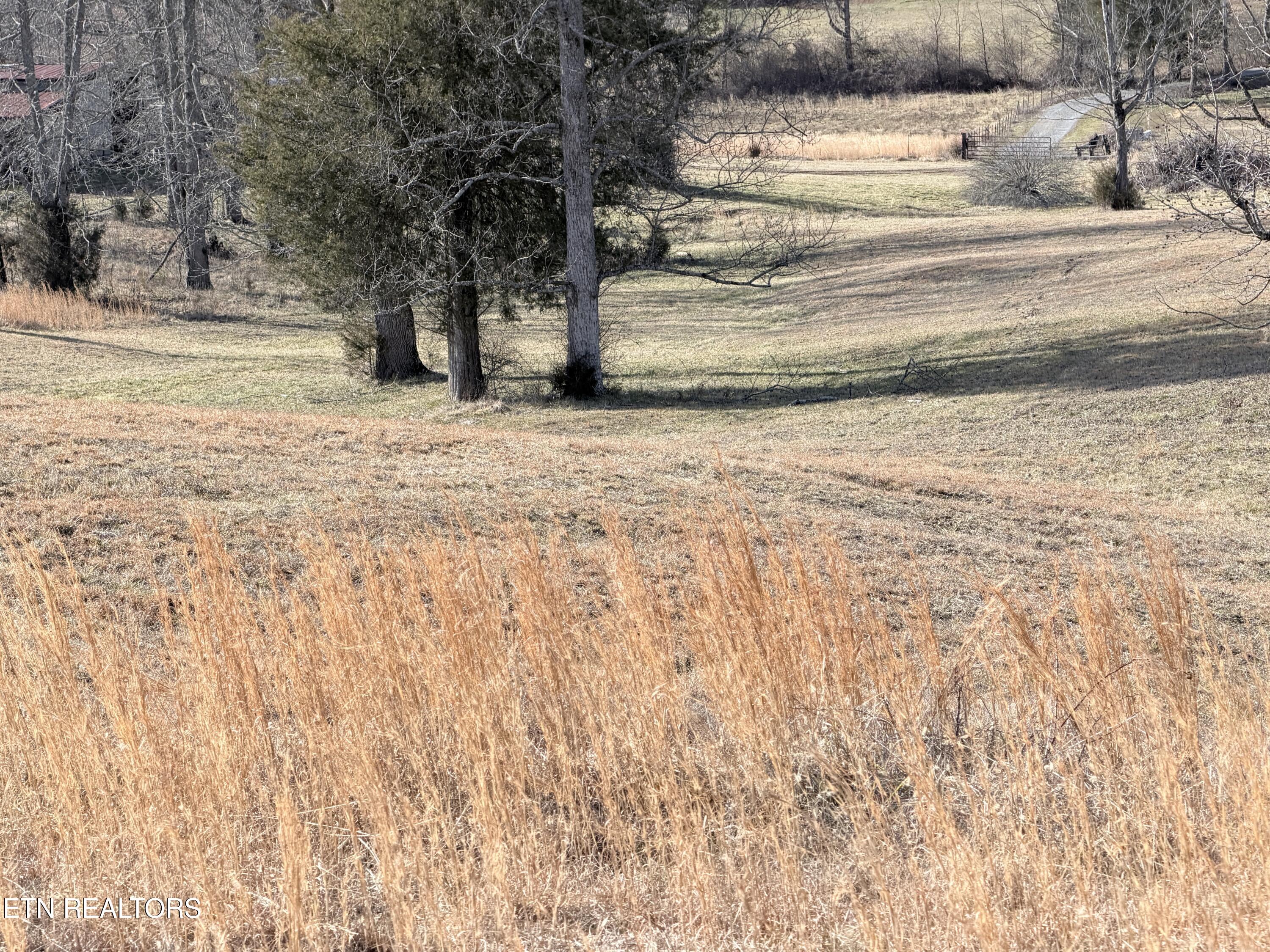 189 County Road Decatur, TN 37322 - Photo 13 of 28 IMG_0309