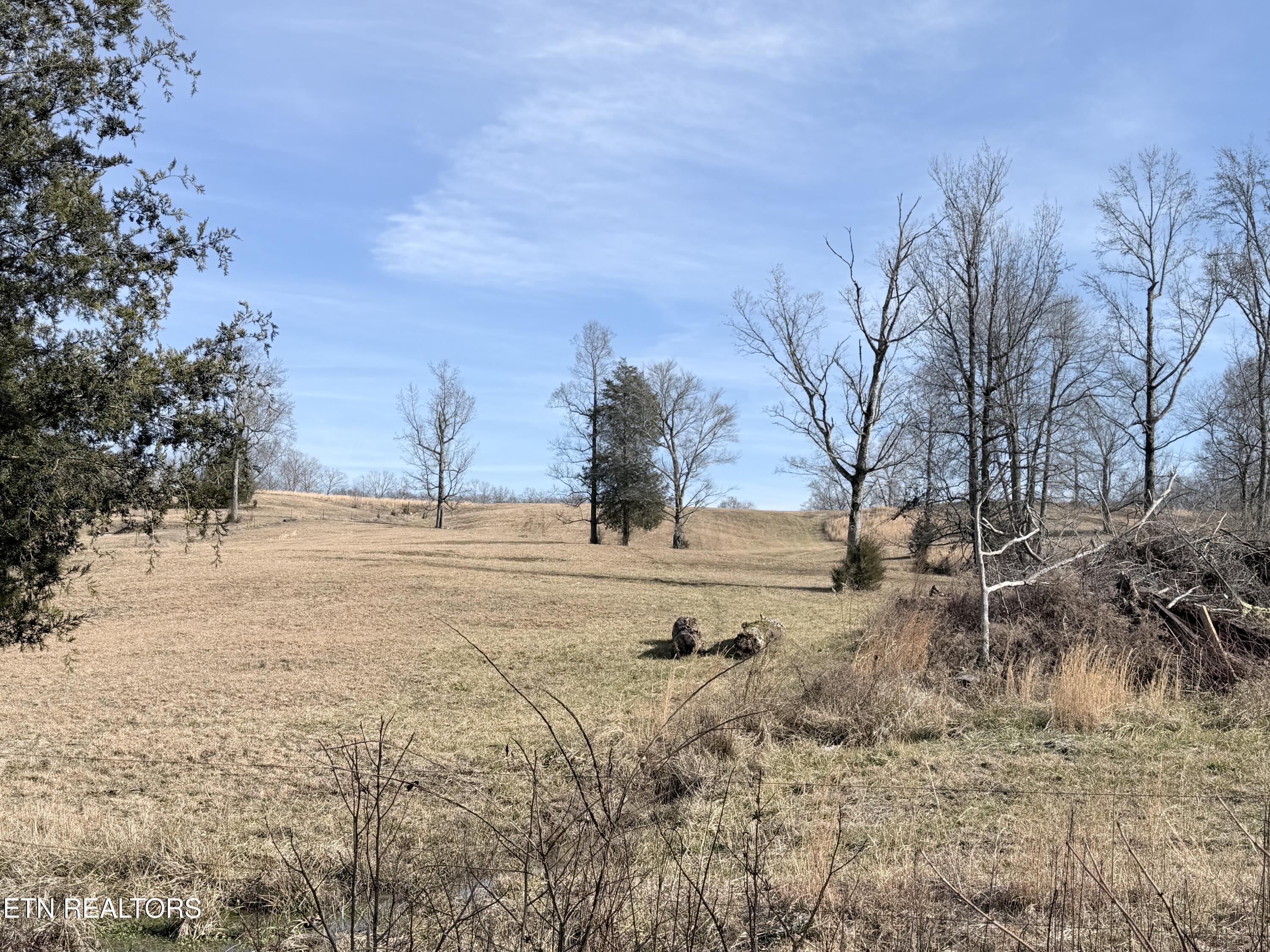 189 County Road Decatur, TN 37322 - Photo 14 of 28 IMG_0310