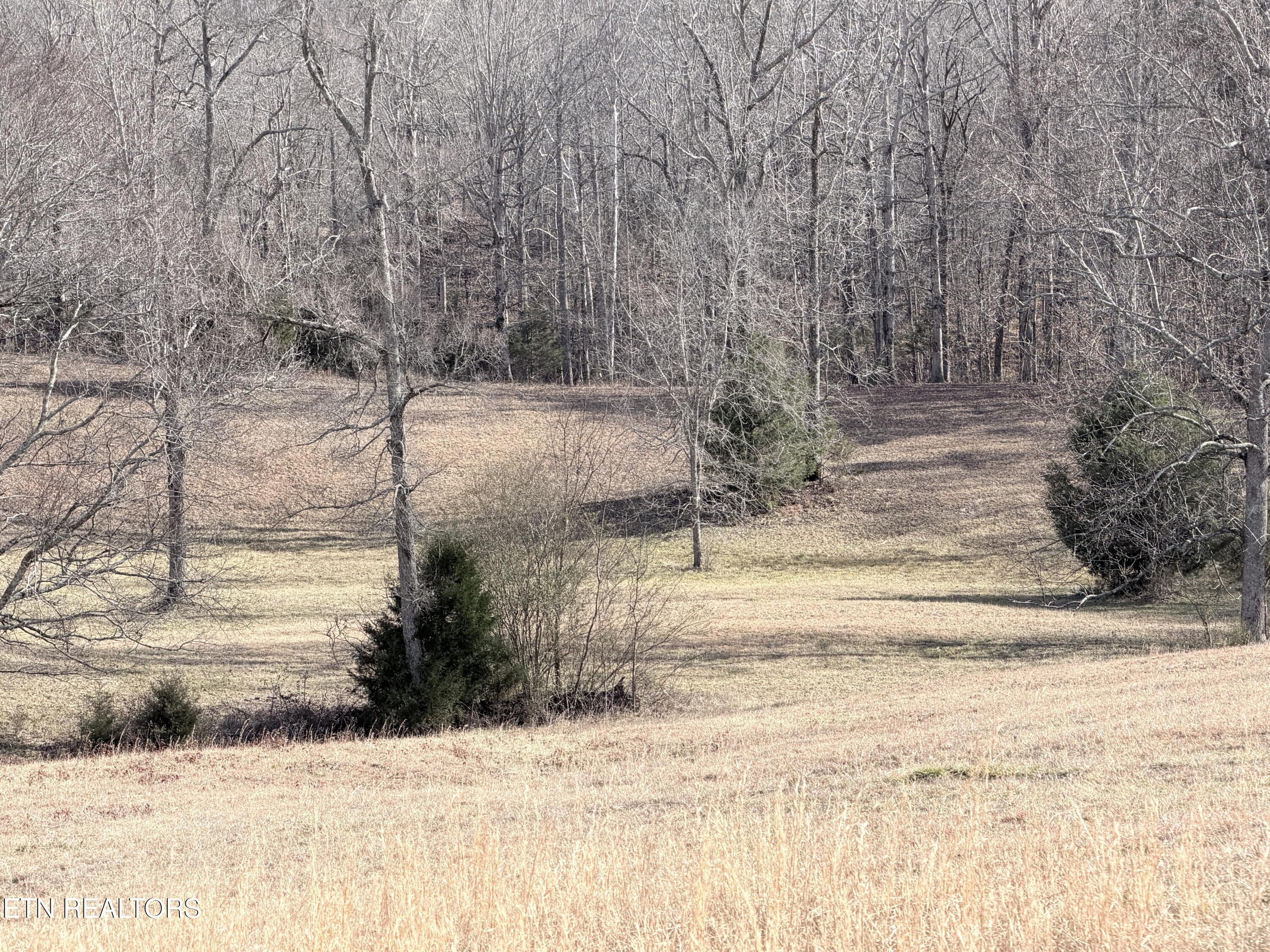 189 County Road Decatur, TN 37322 - Photo 15 of 28 IMG_0305