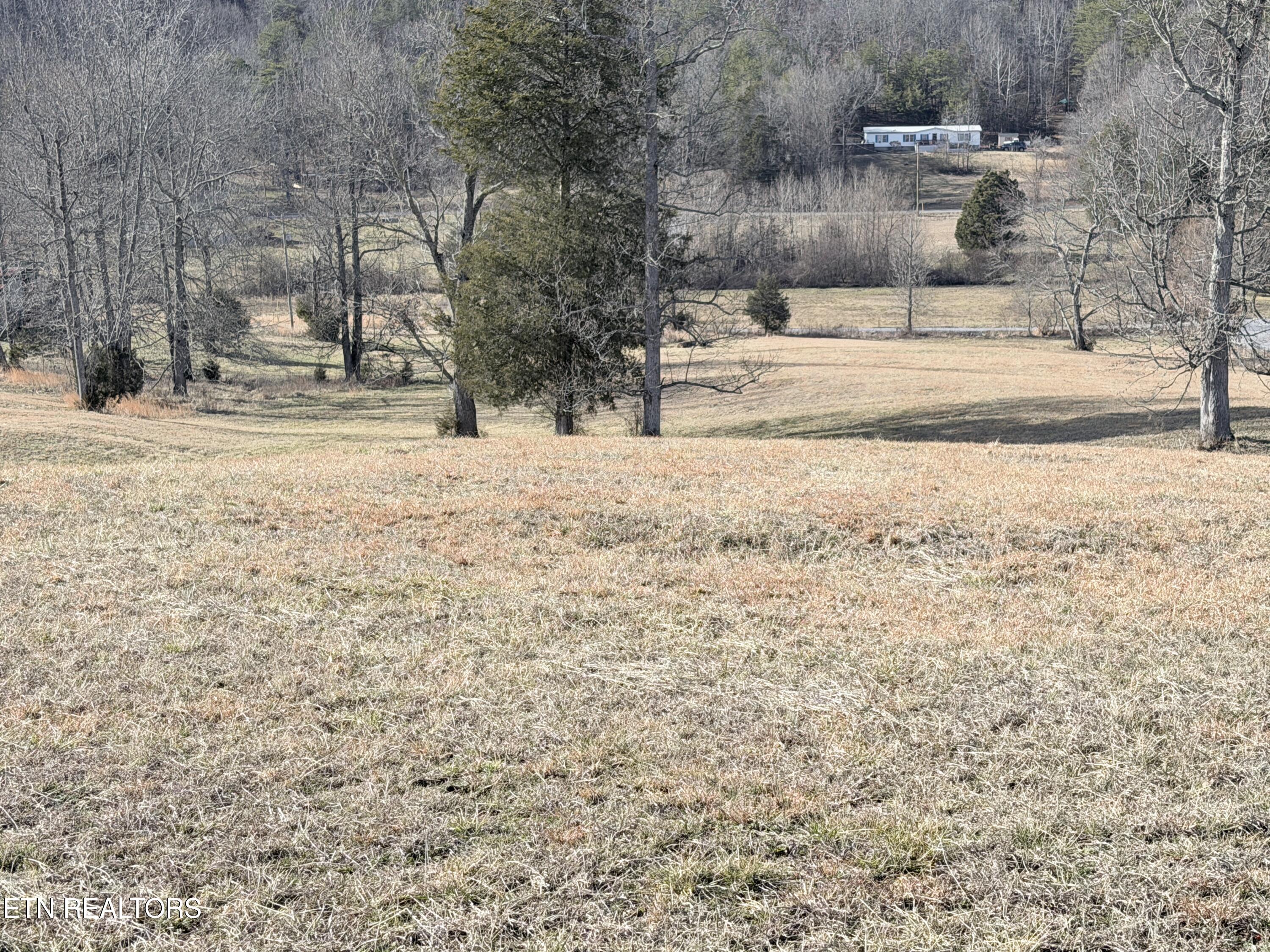 189 County Road Decatur, TN 37322 - Photo 16 of 28 IMG_0303