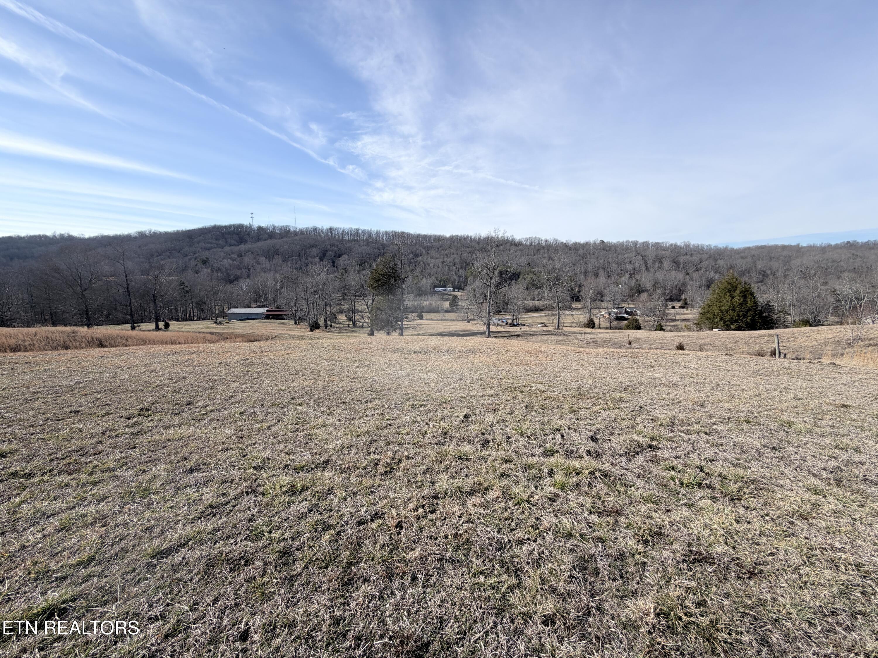 189 County Road Decatur, TN 37322 - Photo 17 of 28 IMG_0302