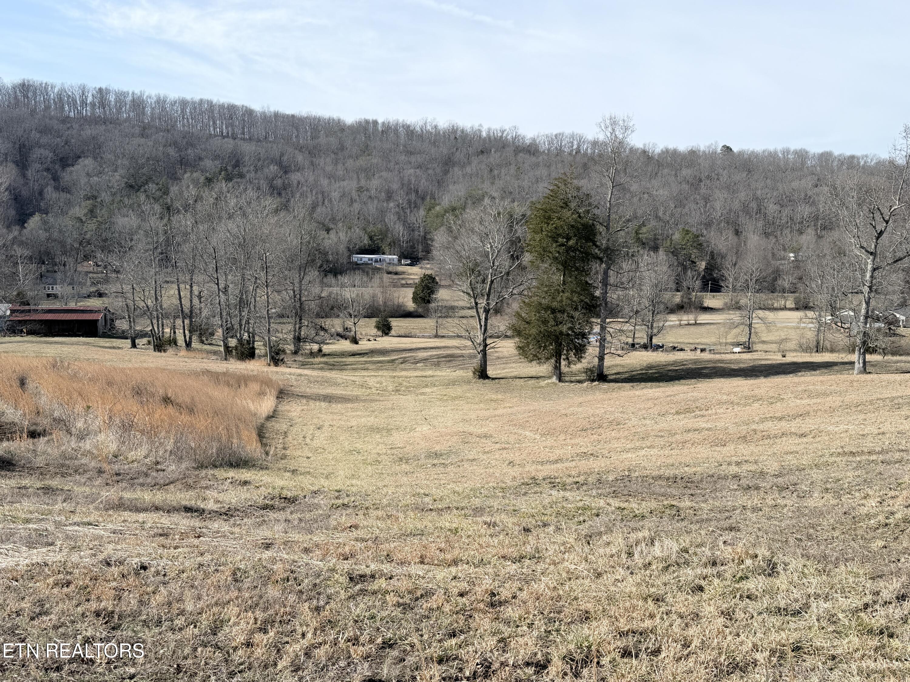 189 County Road Decatur, TN 37322 - Photo 18 of 28 IMG_0300