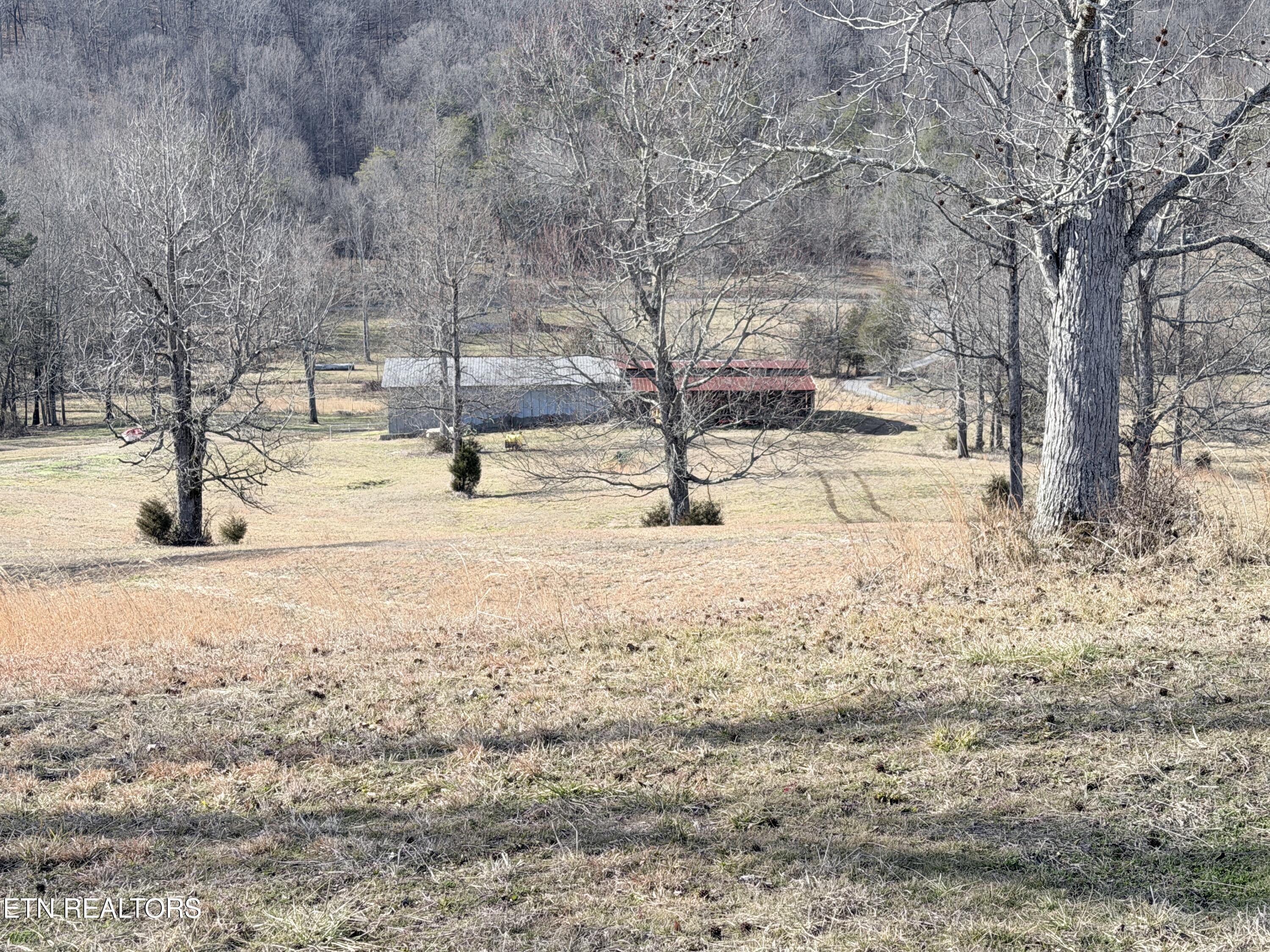 189 County Road Decatur, TN 37322 - Photo 19 of 28 IMG_0299