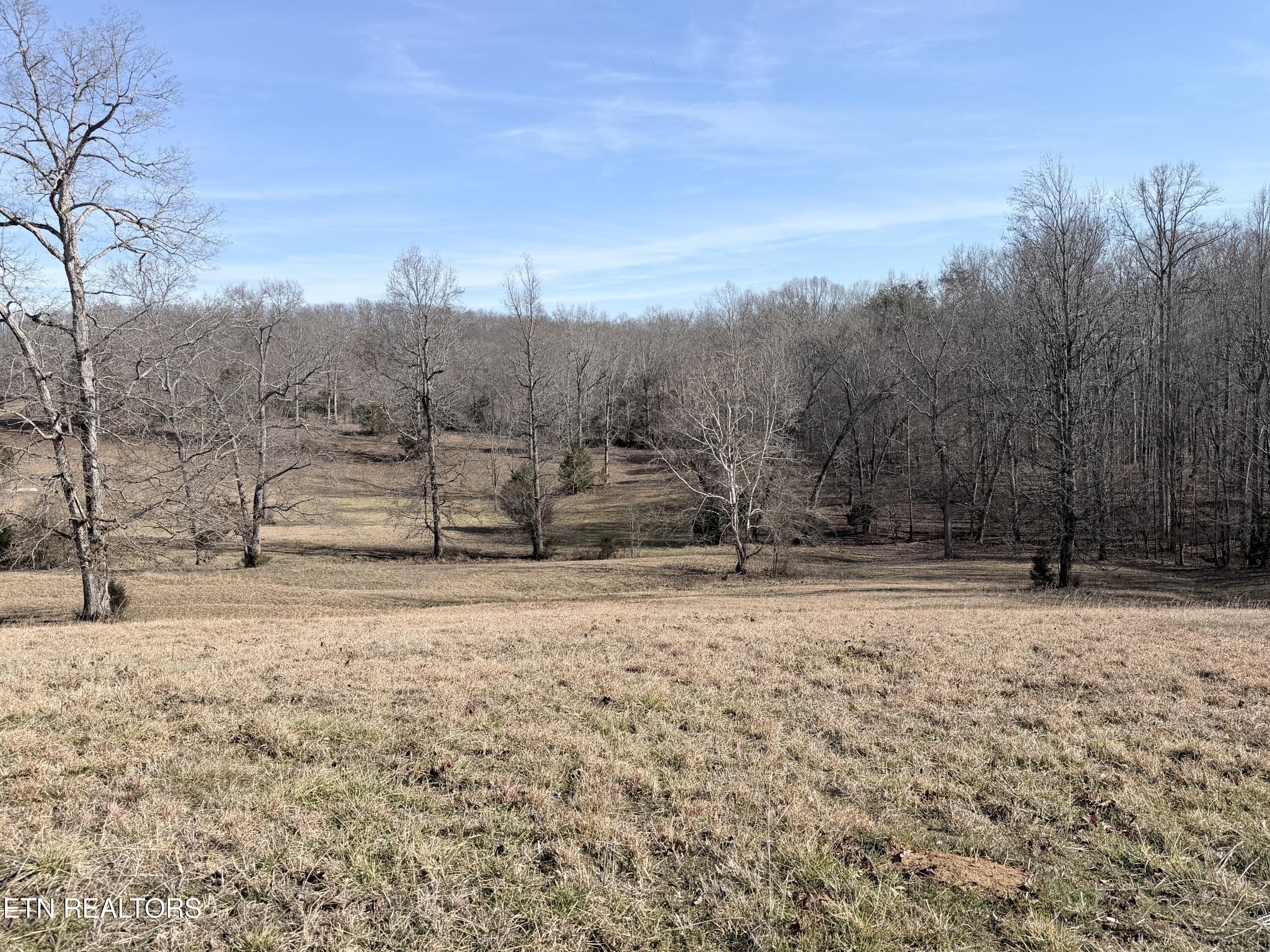 189 County Road Decatur, TN 37322 - Photo 20 of 28 IMG_0294