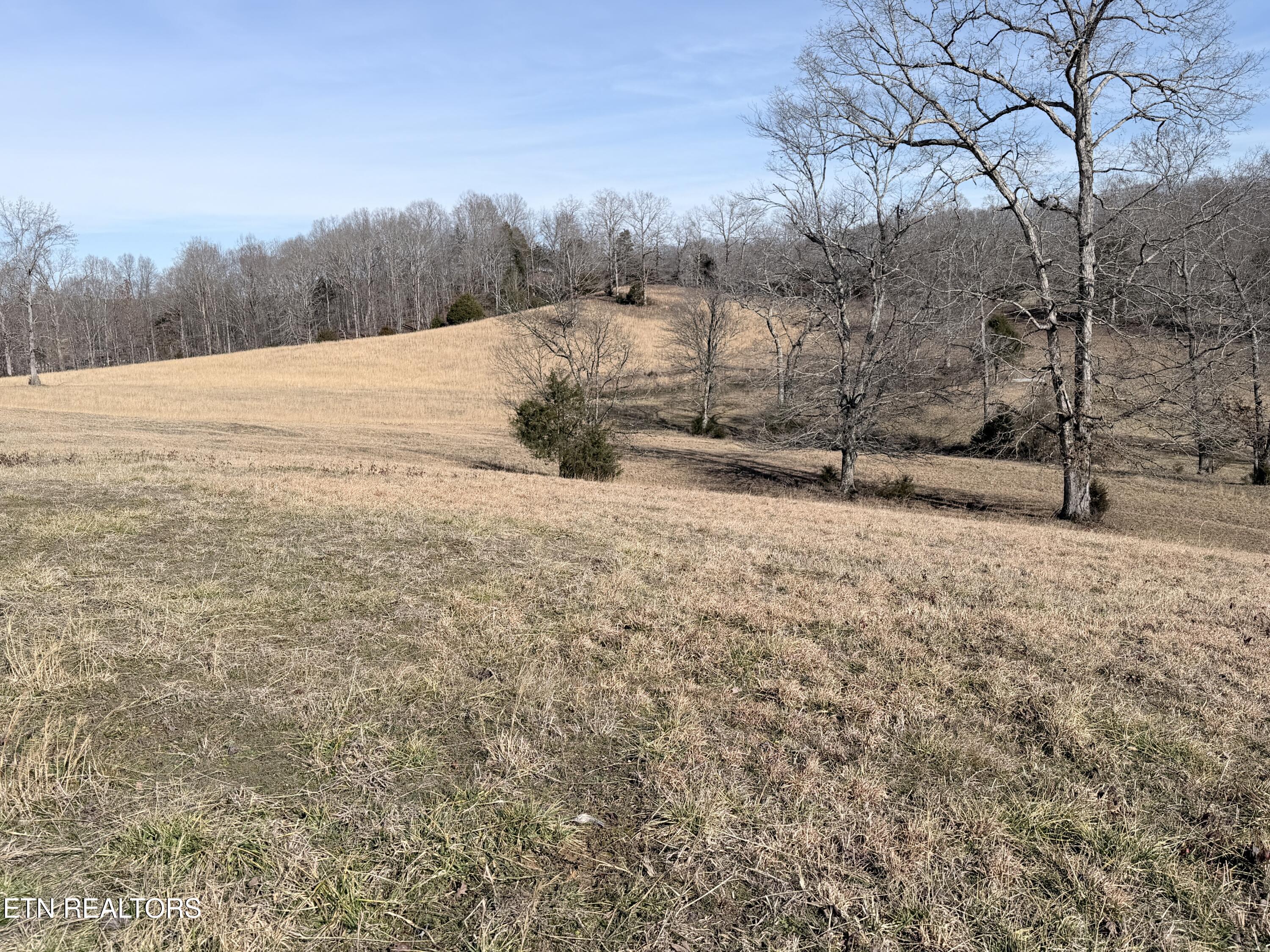 189 County Road Decatur, TN 37322 - Photo 21 of 28 IMG_0296