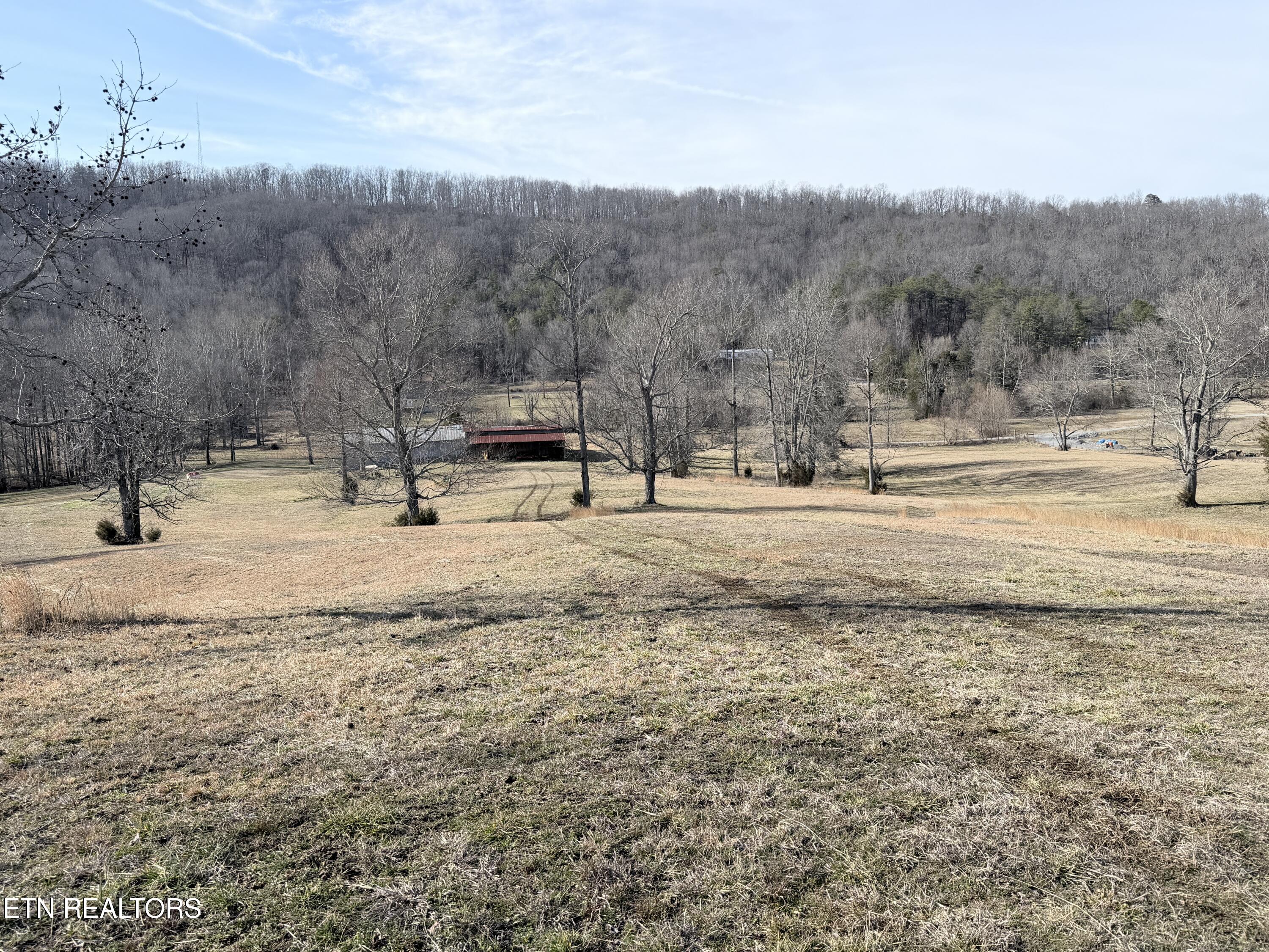 189 County Road Decatur, TN 37322 - Photo 22 of 28 IMG_0292