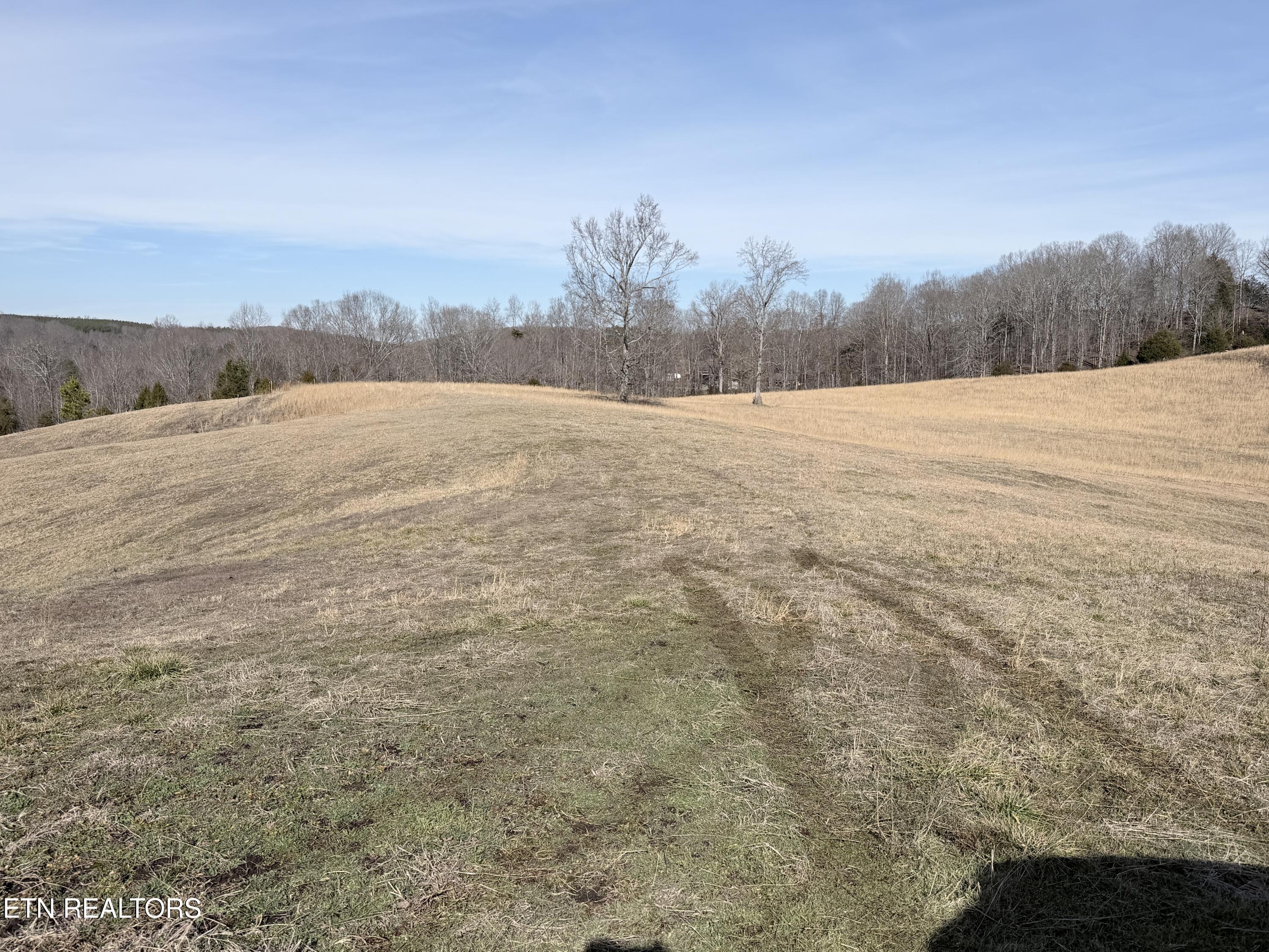 189 County Road Decatur, TN 37322 - Photo 23 of 28 IMG_0293