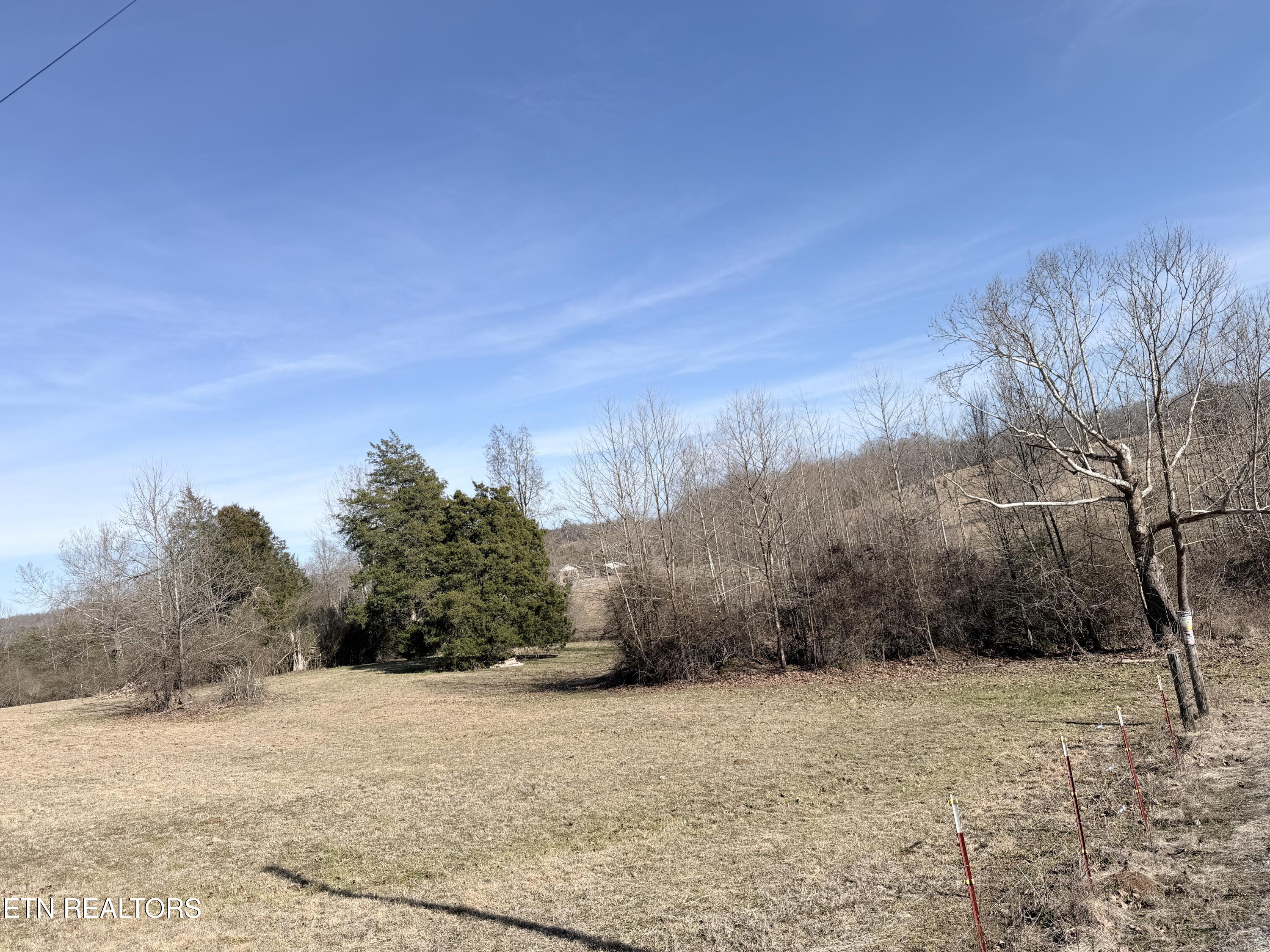 189 County Road Decatur, TN 37322 - Photo 26 of 28 IMG_0286