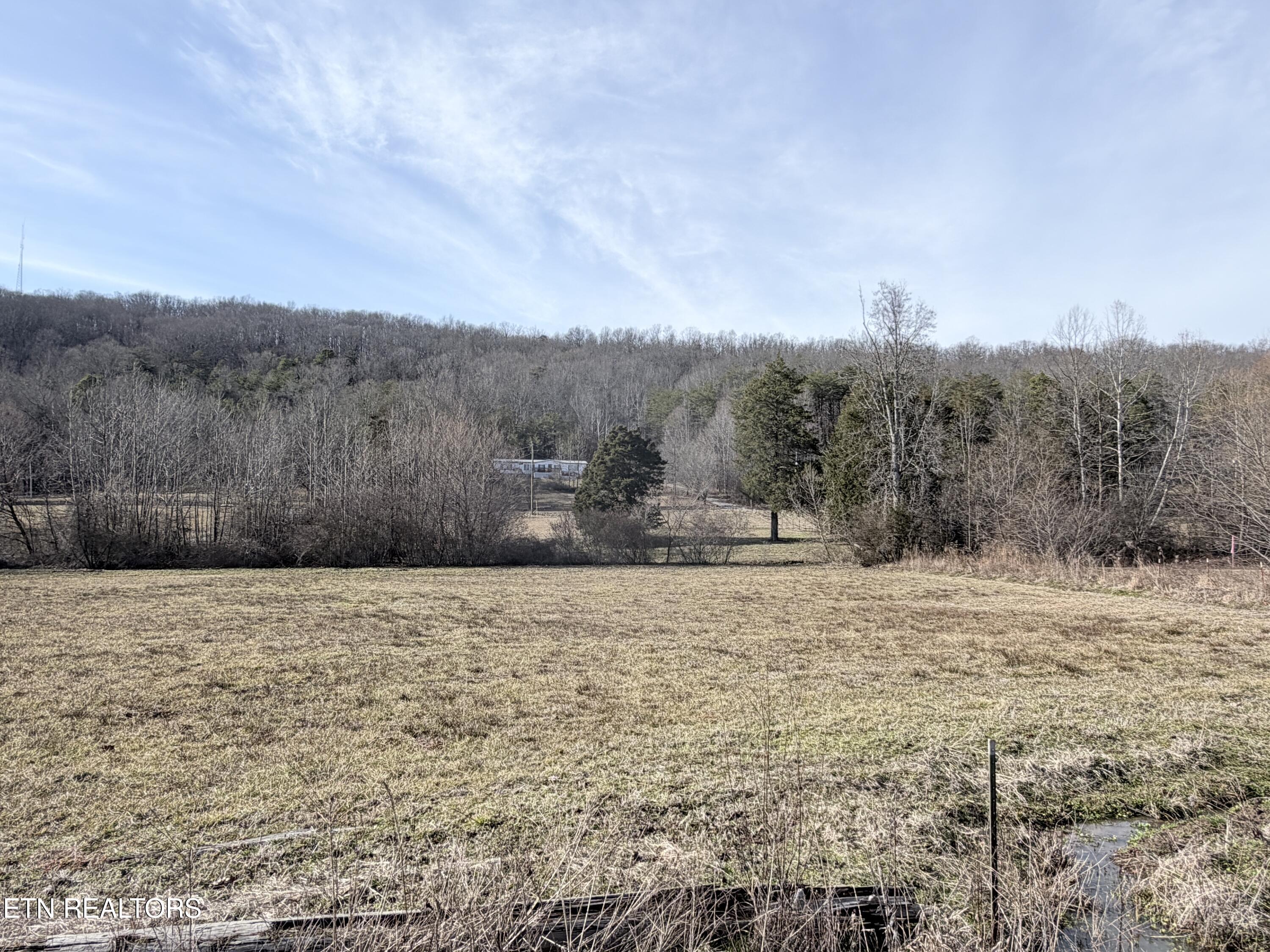 189 County Road Decatur, TN 37322 - Photo 3 of 28 IMG_0313