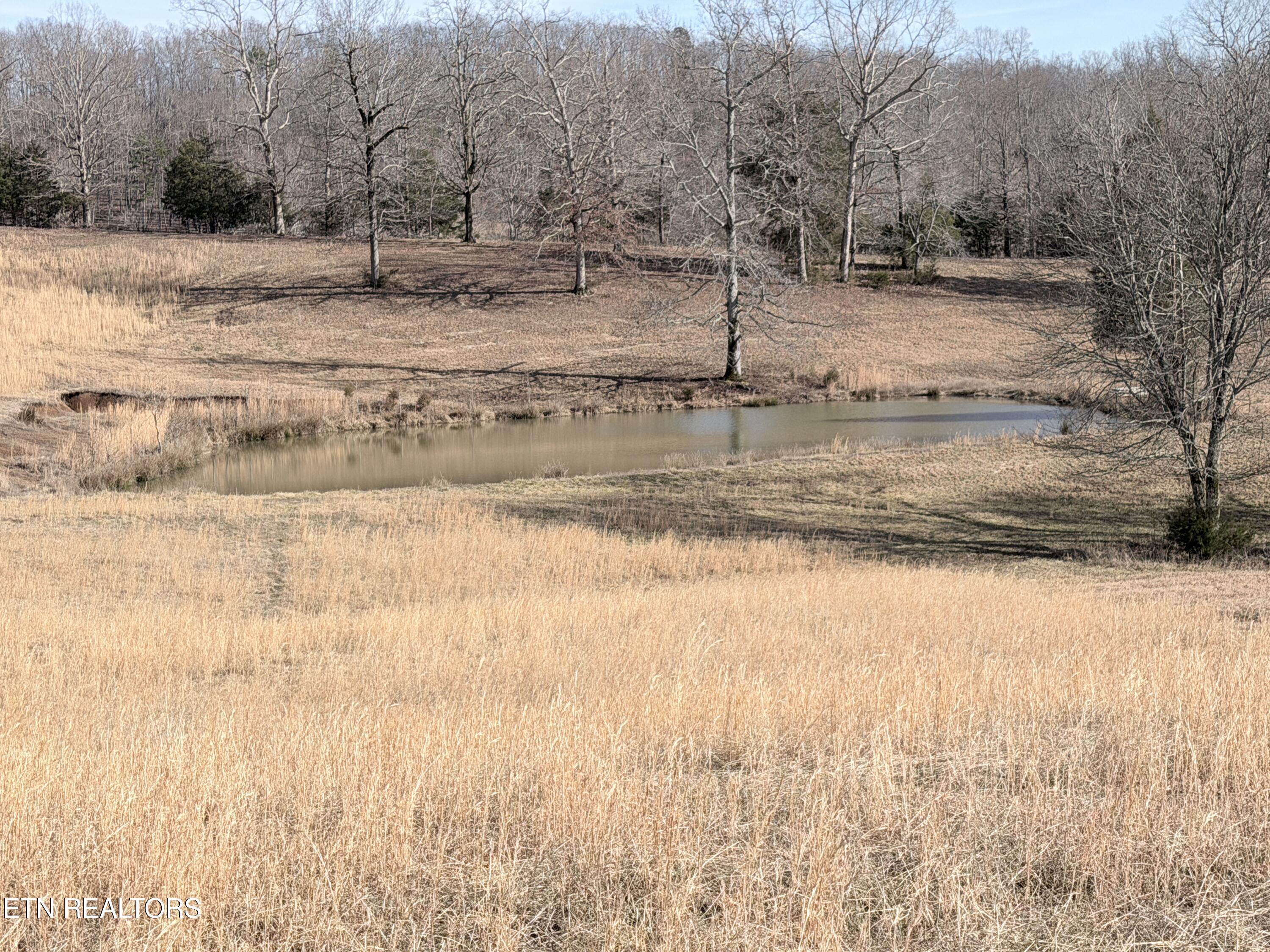 189 County Road Decatur, TN 37322 - Photo 5 of 28 IMG_0304