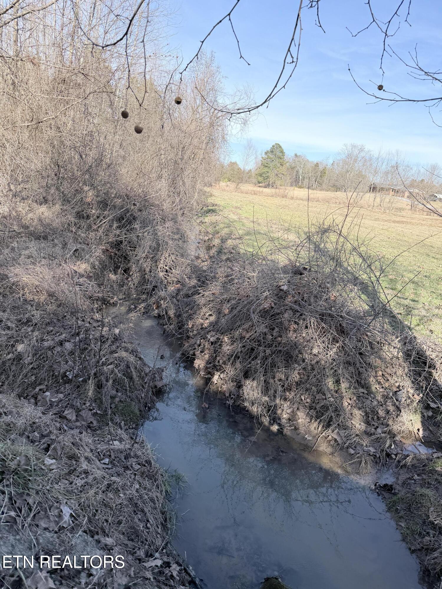 189 County Road Decatur, TN 37322 - Photo 6 of 28 IMG_0288