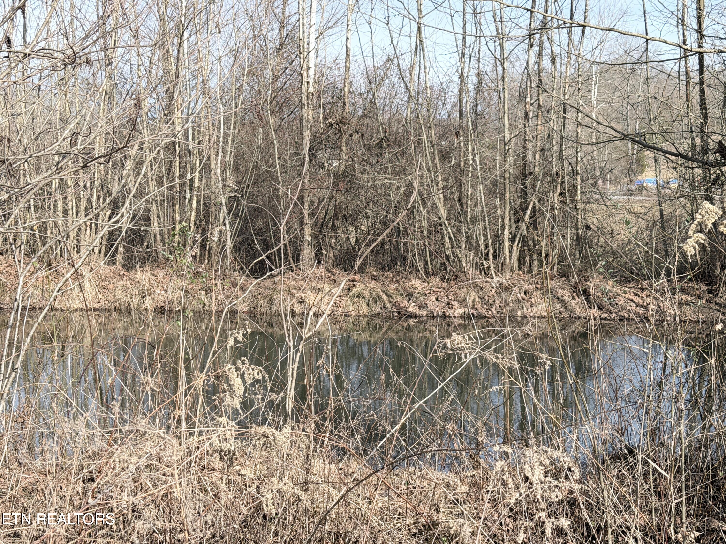 189 County Road Decatur, TN 37322 - Photo 10 of 28 IMG_0316