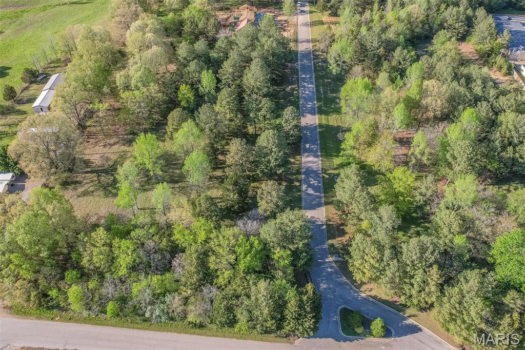 0 Lot Poplar Bluff, MO 63901 - Photo 11 of 16