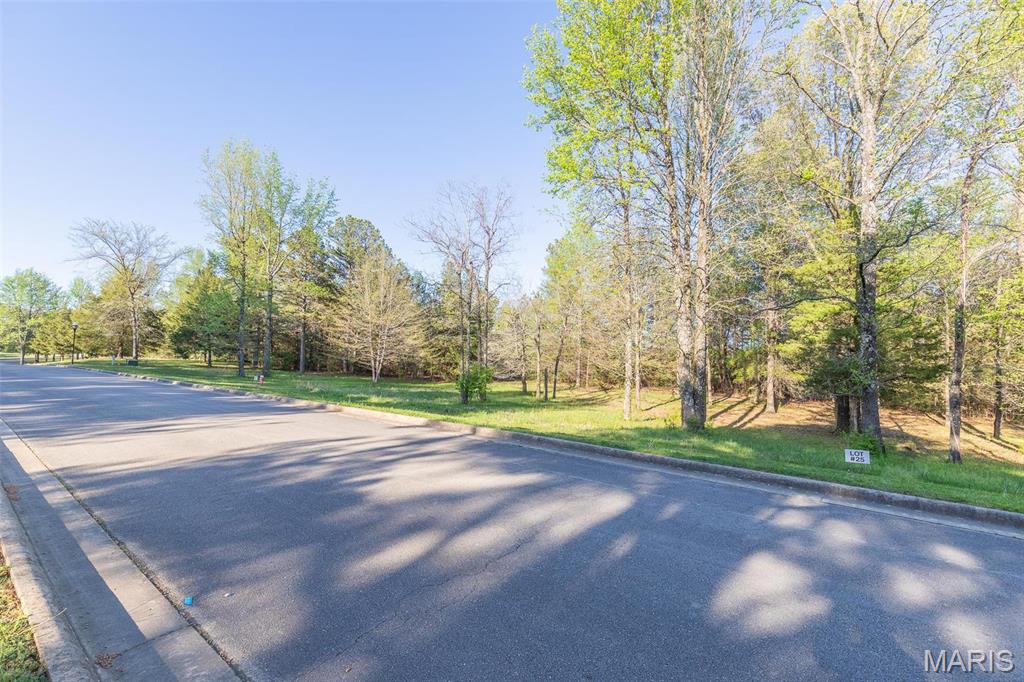 0 Lot Poplar Bluff, MO 63901 - Photo 4 of 16