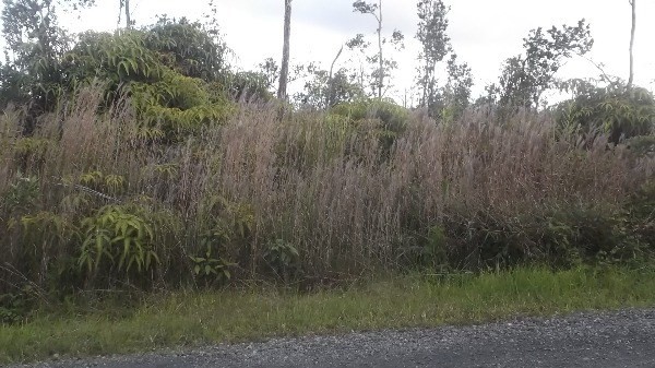 11-2149 Ohialani Road Pahoa, HI 96778 - Photo 1 of 4 Gallery Image 1