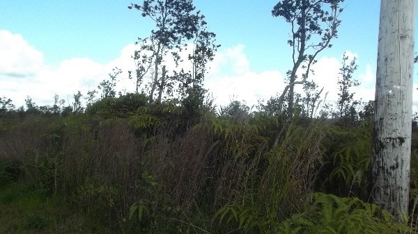 11-2149 Ohialani Road Pahoa, HI 96778 - Photo 3 of 4 Gallery Image 3