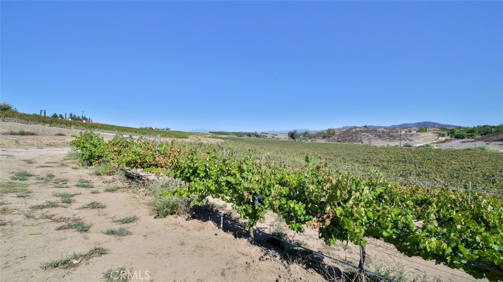 40970 Anza Road Temecula, CA 92592 - Photo 11 of 29 a view of a yard with a ocean view