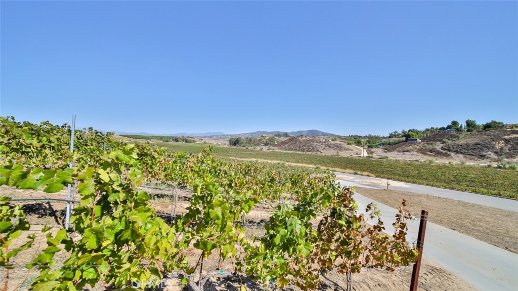 40970 Anza Road Temecula, CA 92592 - Photo 13 of 29 a view of a lake with a mountain in the background