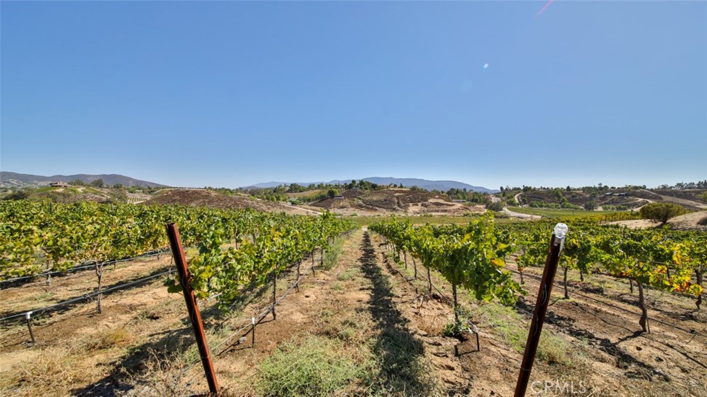 40970 Anza Road Temecula, CA 92592 - Photo 16 of 29 a view of a city with mountains in the background