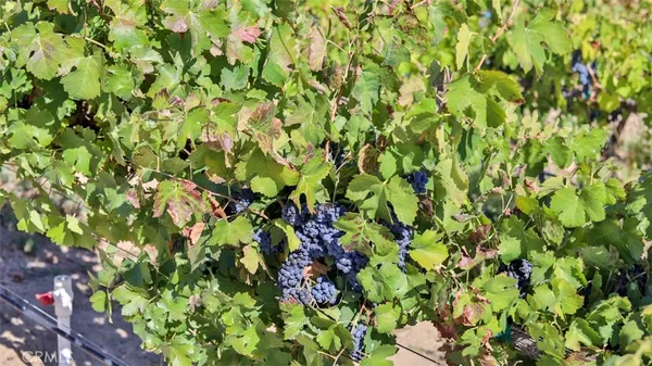 $2,900,000 | 40970 Anza Road, Temecula, CA 92592