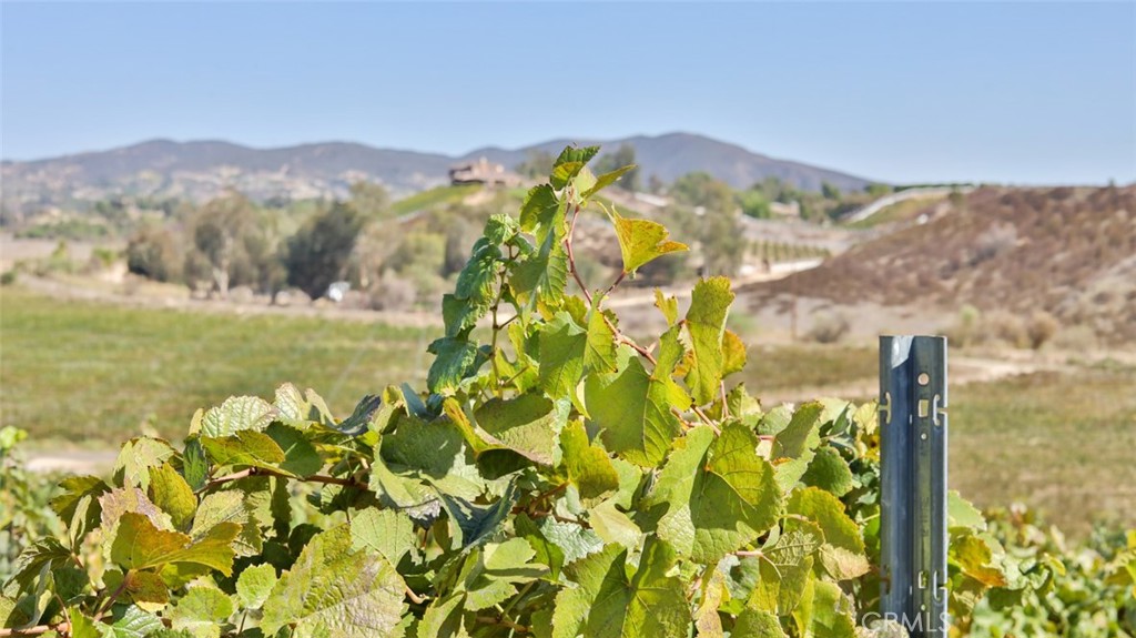 40970 Anza Road Temecula, CA 92592 - Photo 10 of 29 a view of a lake with a mountain