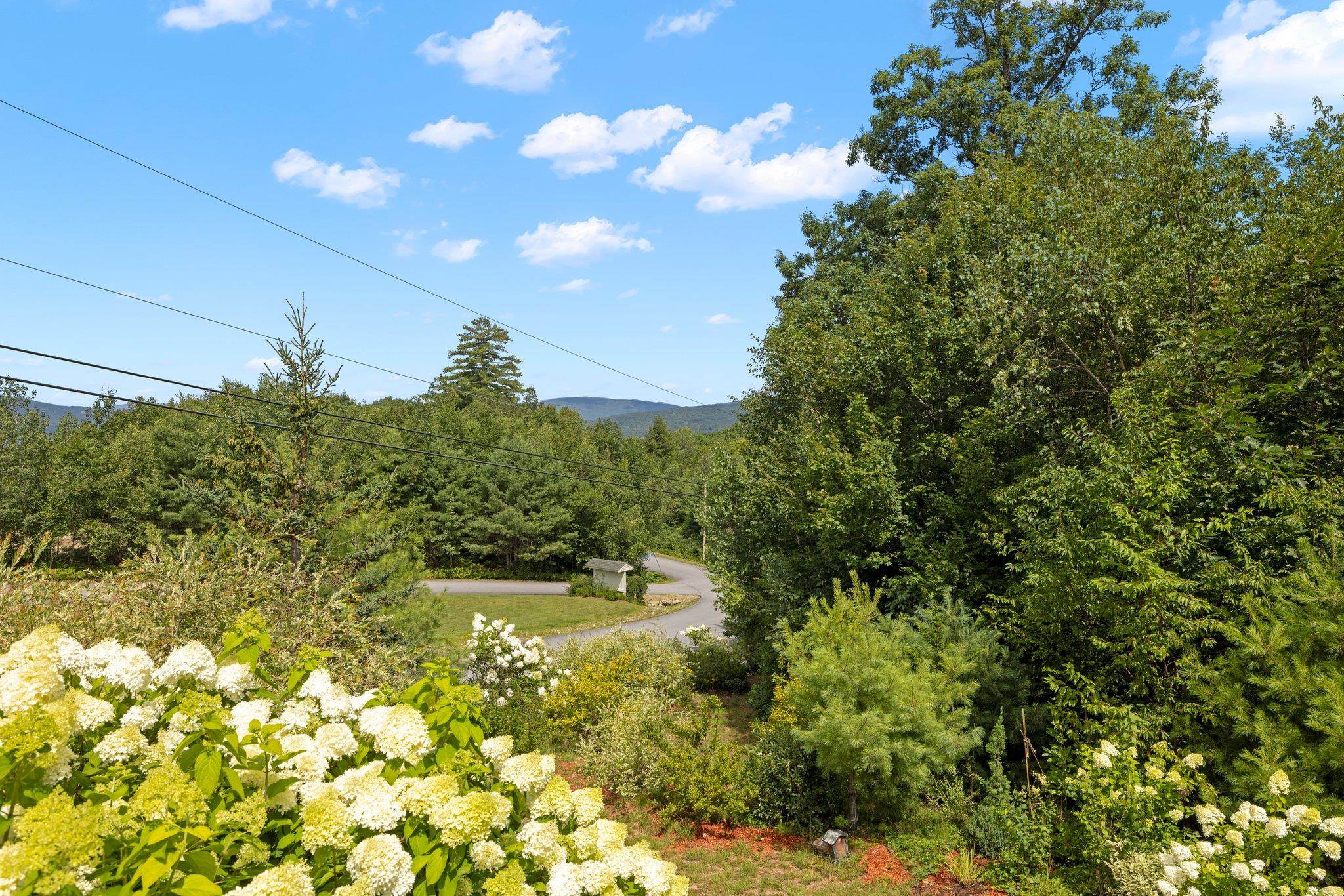 301 Wicom Road Bristol, NH 03222 - Photo 3 of 40