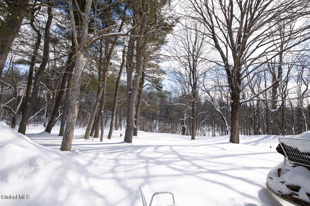 270 N Road Berne, NY 12186 - Photo 29 of 33 DSC_8360