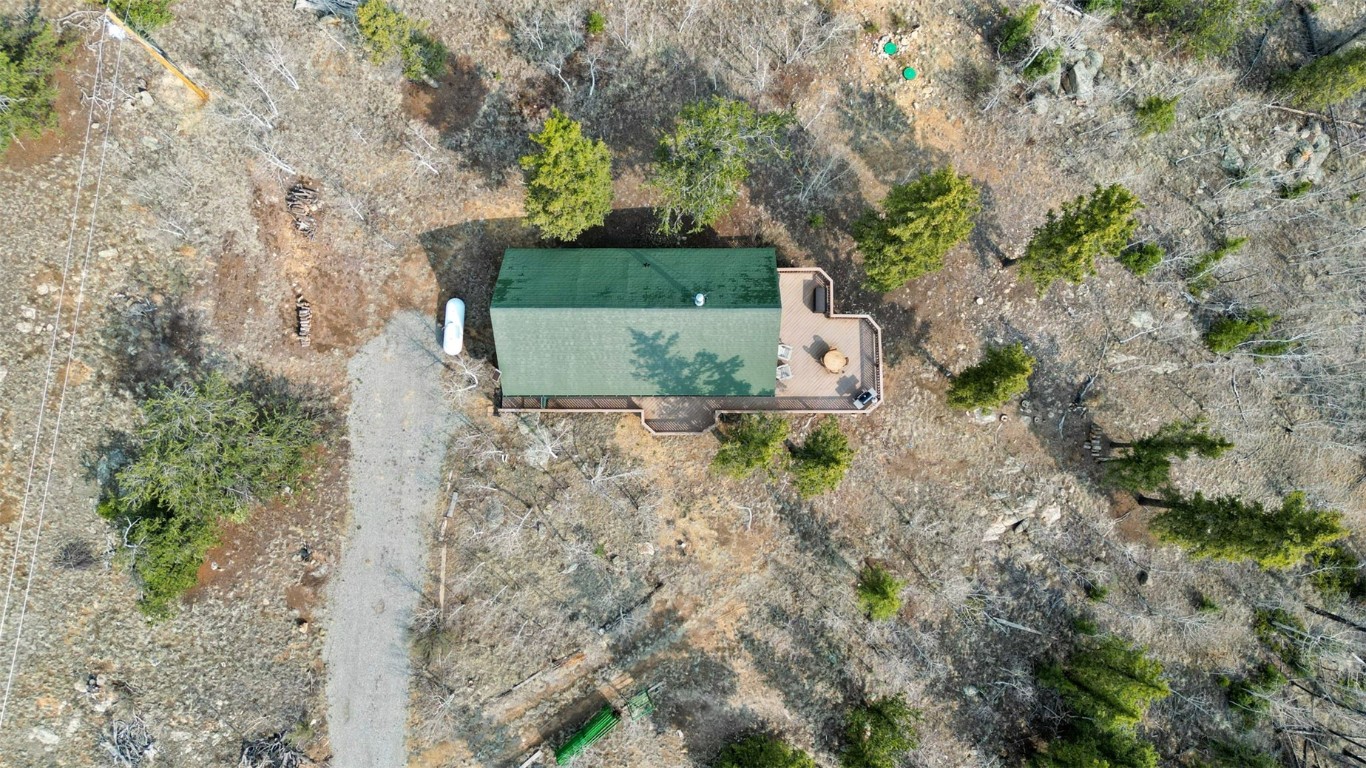 245 Bronco Circle Como, CO 80456 - Photo 24 of 40 a view of a yard with plants and large trees