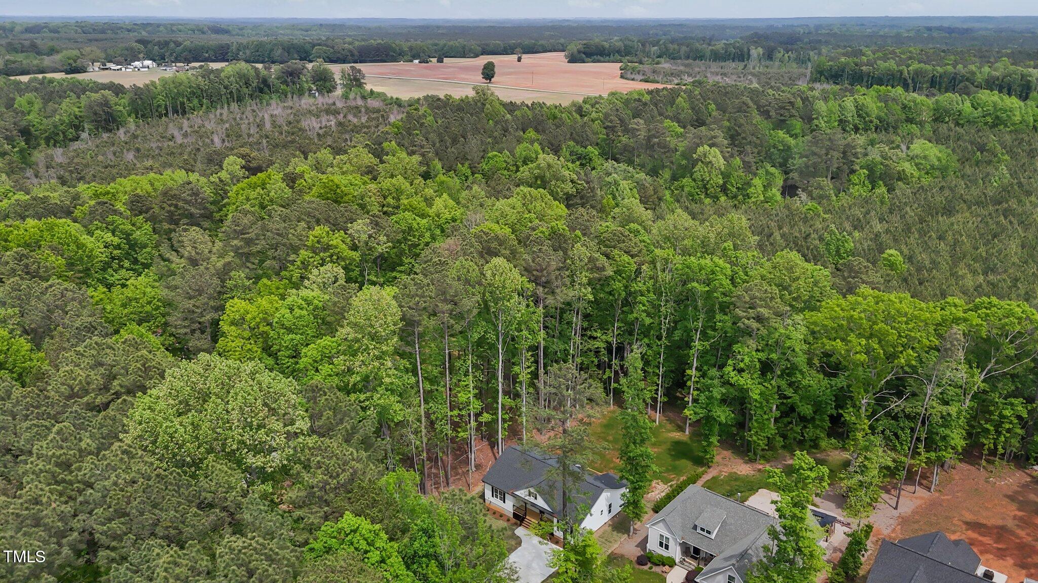 200 Rawhide Drive Spring Hope, NC 27882 - Photo 21 of 29 36-web-or-mls-DJI_20250422142036_0189_D