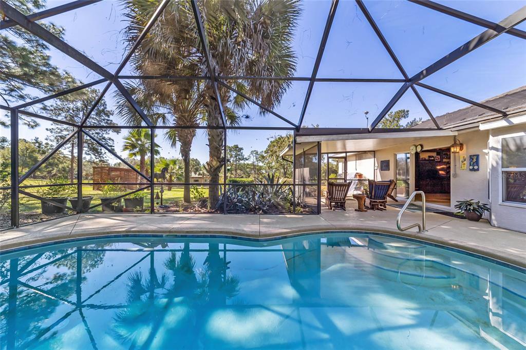 12932 Southwest 41st Place Ocala, FL 34481 - Photo 19 of 29 a view of a swimming pool with a patio