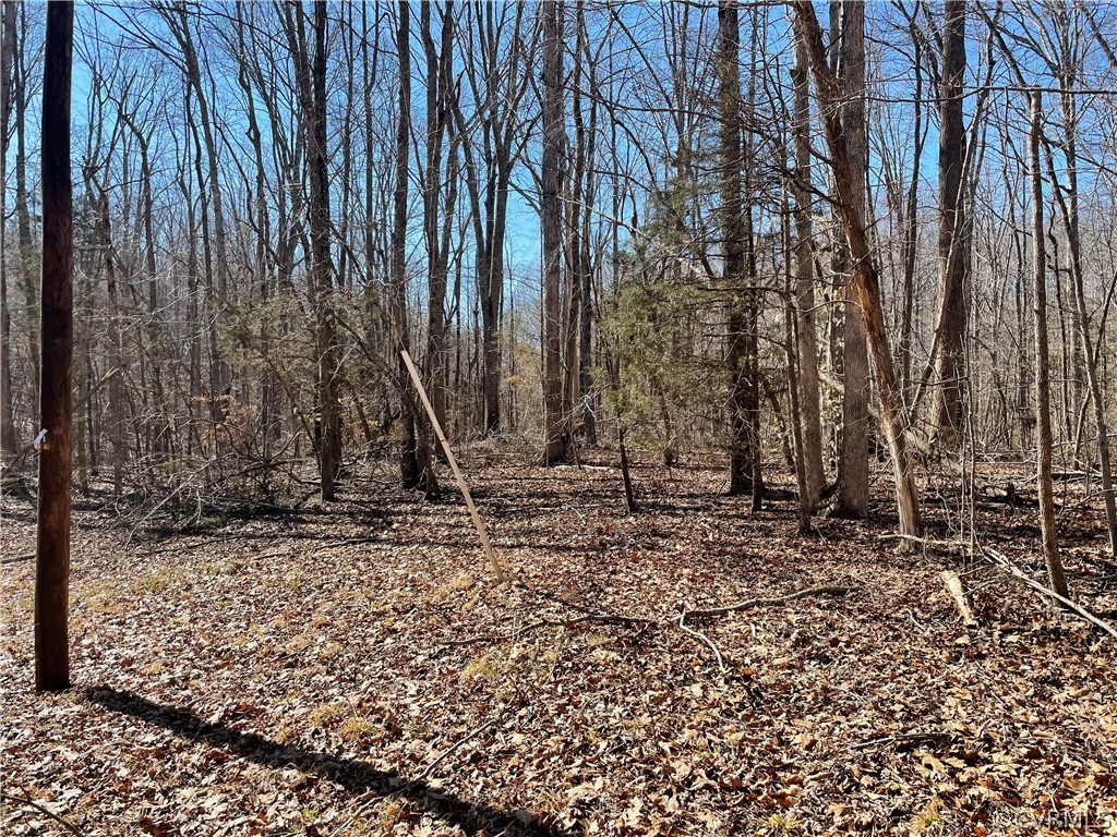 Gallery Image 7