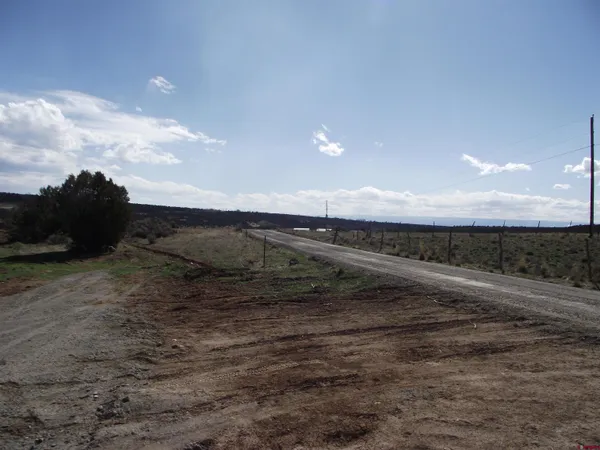 a view of a road from a yard
