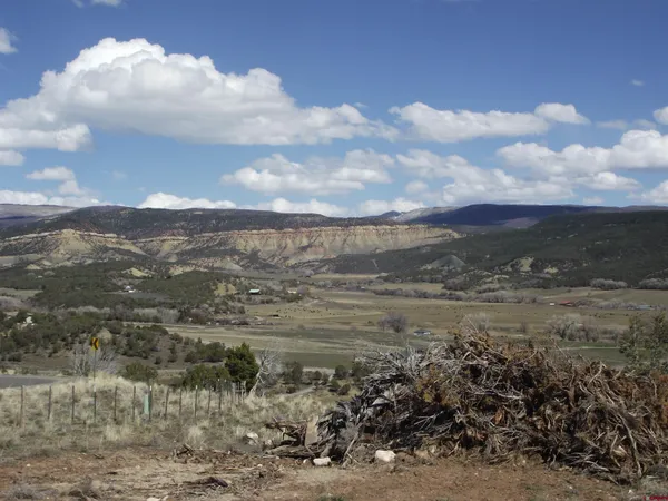 a view of a lake in middle of forest