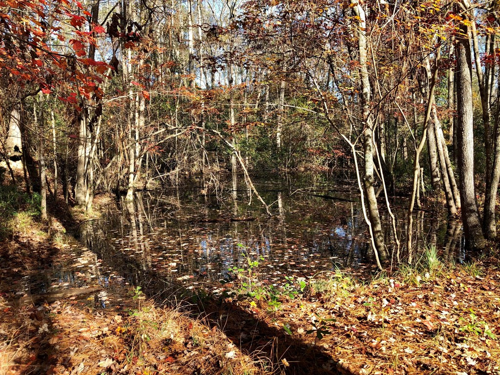 1950 McDade Road Hephzibah, GA 30815 - Photo 3 of 17 Wet weather pond