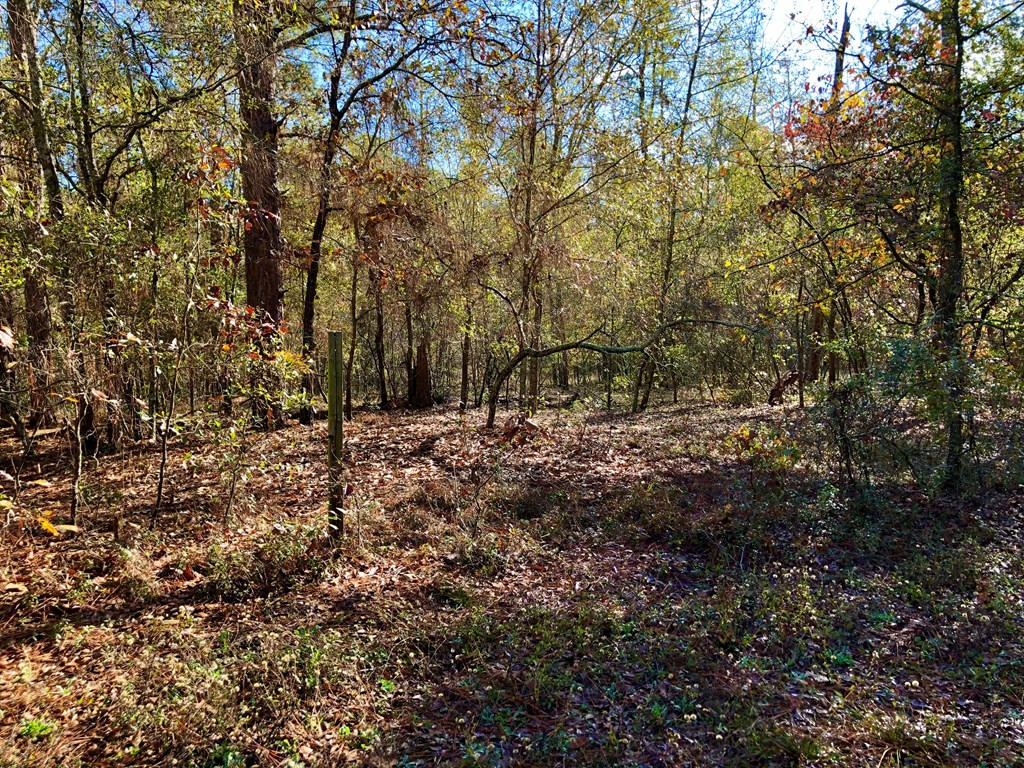 1950 McDade Road Hephzibah, GA 30815 - Photo 7 of 17