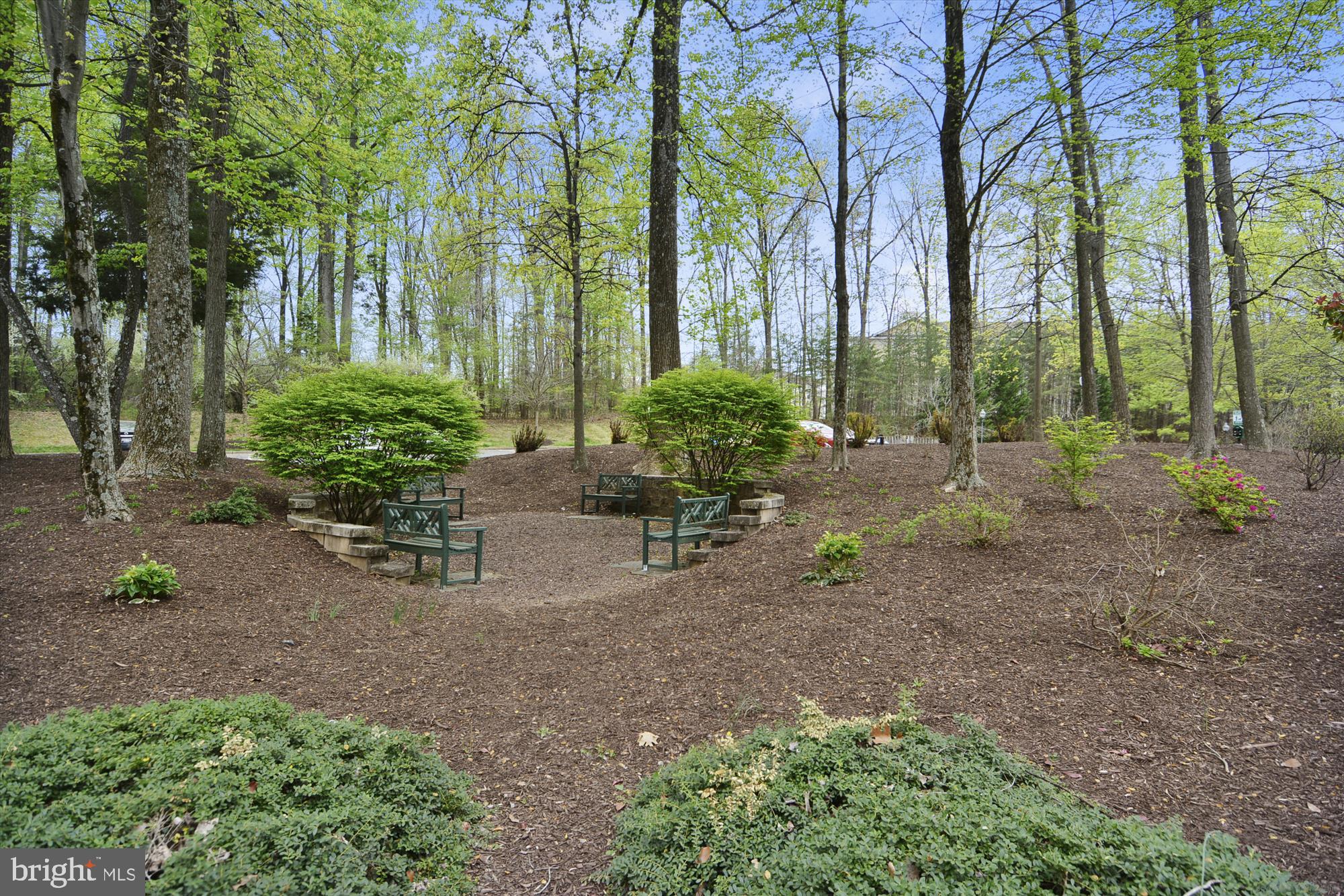 137 Timberbrook Lane, Unit 103 Gaithersburg, MD 20878 - Photo 25 of 51 a garden with trees